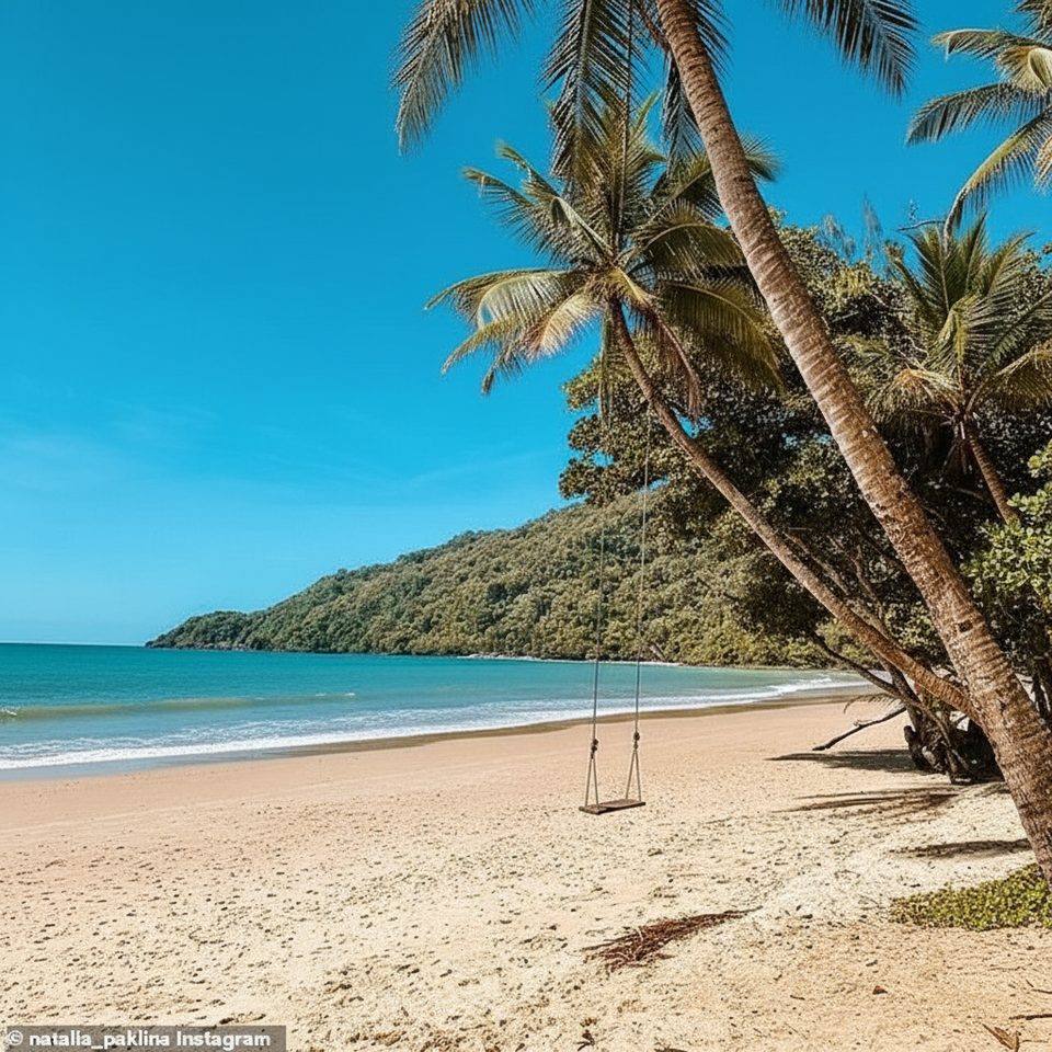 Cow Bay Swing, Daintree National Park