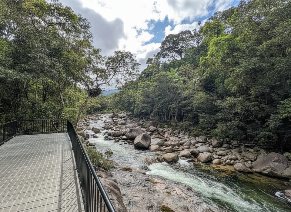Mossman Gorge Lookout, Daintree National Park