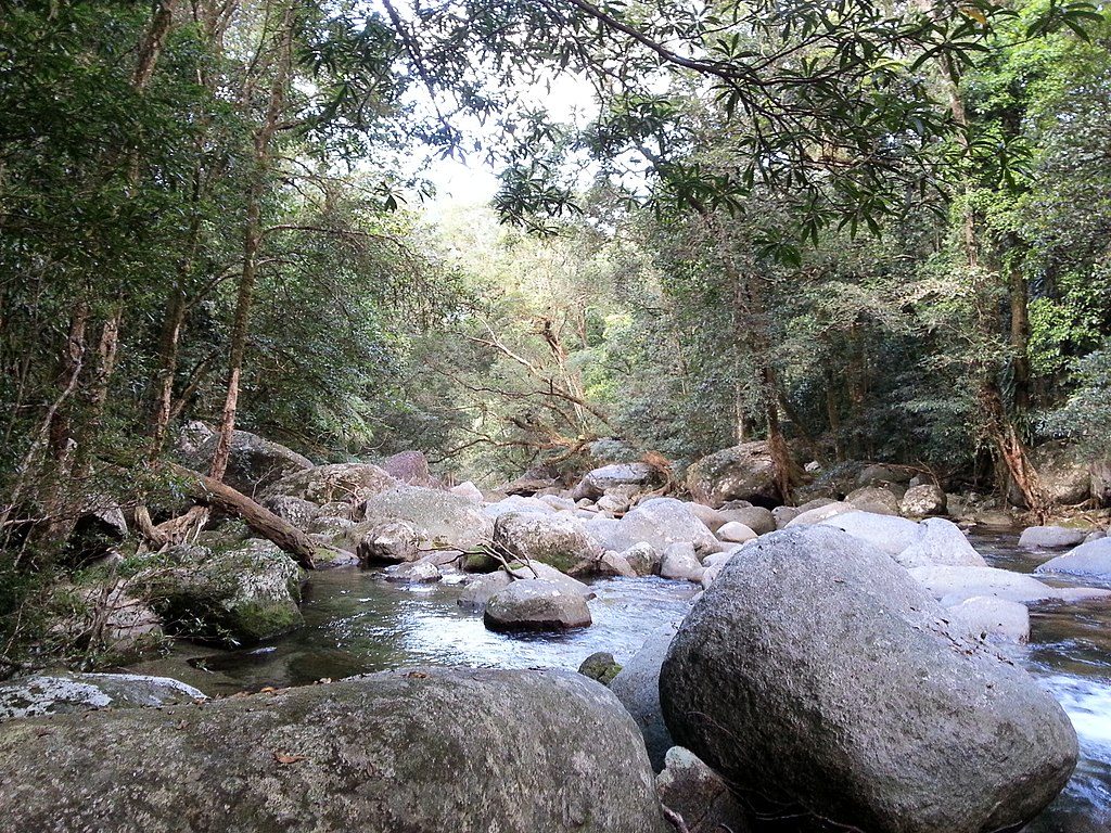 Mossman Gorge, Daintree National Park