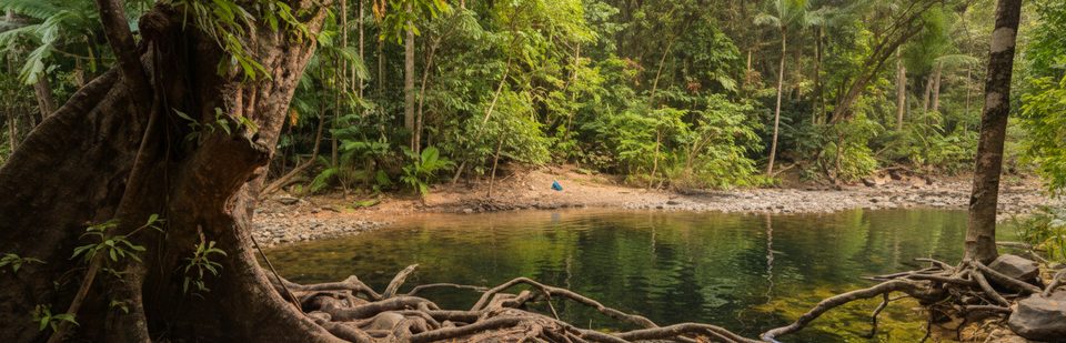 Emmagen Creek Swimming Hole, Daintree National Park