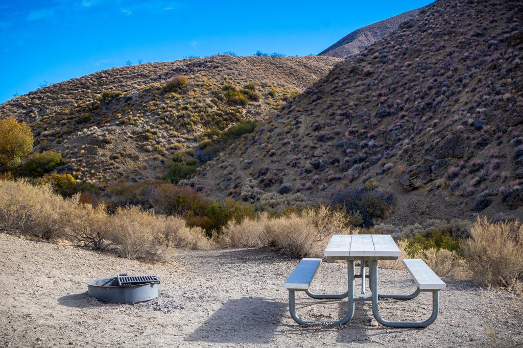 Wildrose Campground, Death Valley National Park