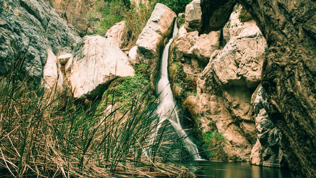 Darwin Falls, Death Valley National Park