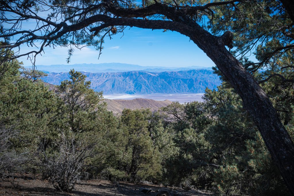 Mahogany Flat Campground, Death Valley National Park