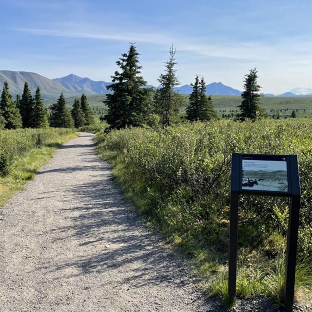 Mountain Vista Rest Area, Denali National Park
