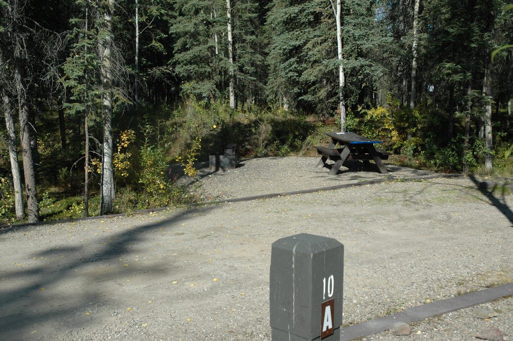 Riley Creek Campground, Denali National Park