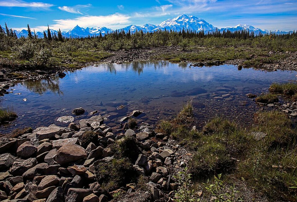 McKinley Bar, Denali National Park