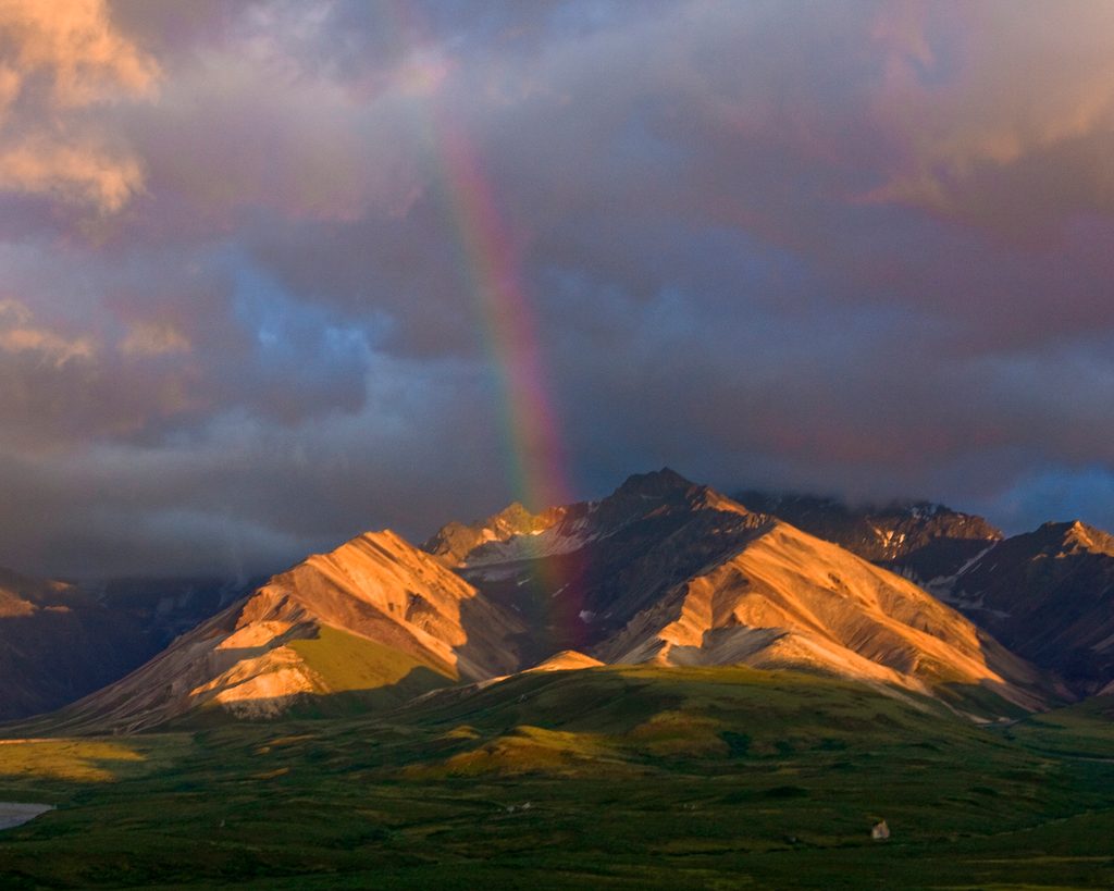 Polychrome Overlook, Denali National Park