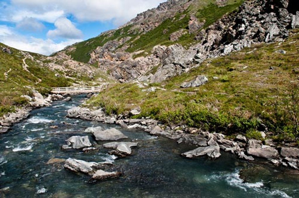 Savage River, Denali National Park