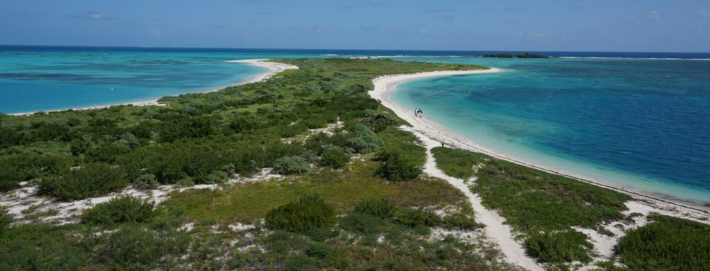 Bush Key, Dry Tortugas National Park