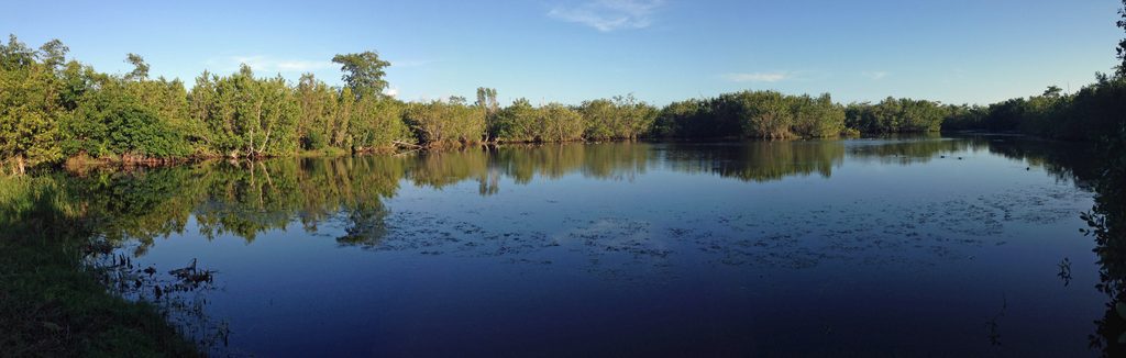 Eco Pond, Everglades National Park