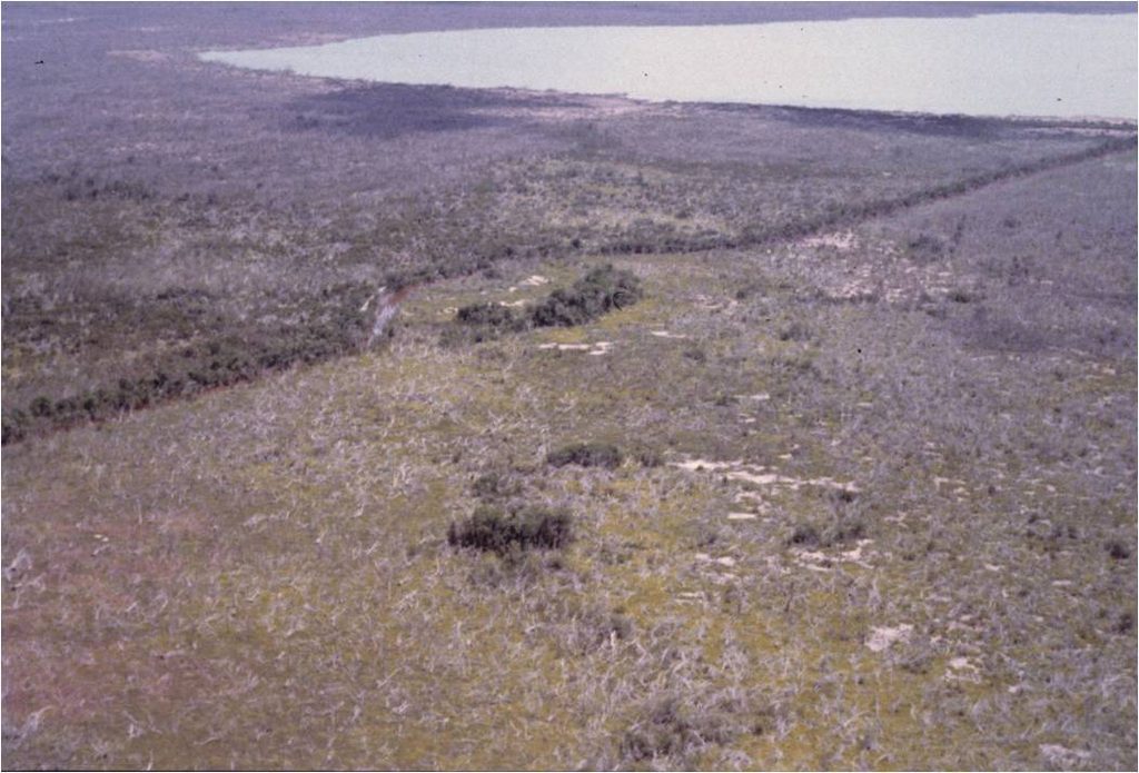 Bear Lake, Everglades National Park