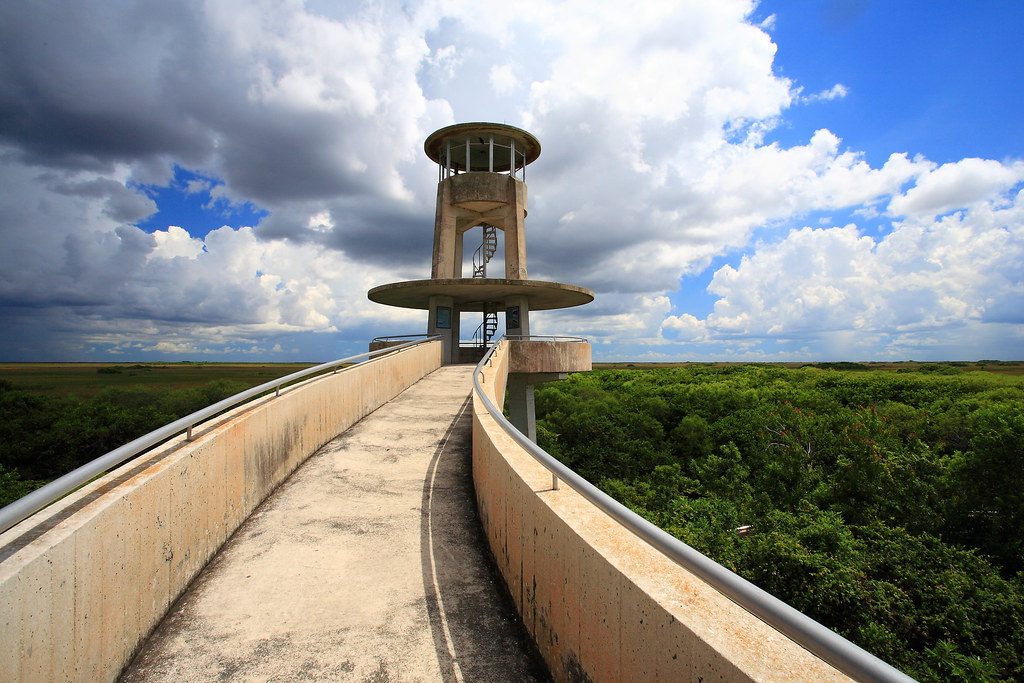 Shark Valley Observation Tower, Everglades National Park