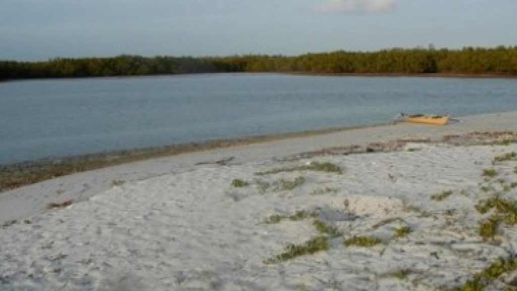 Turkey Key, Everglades National Park