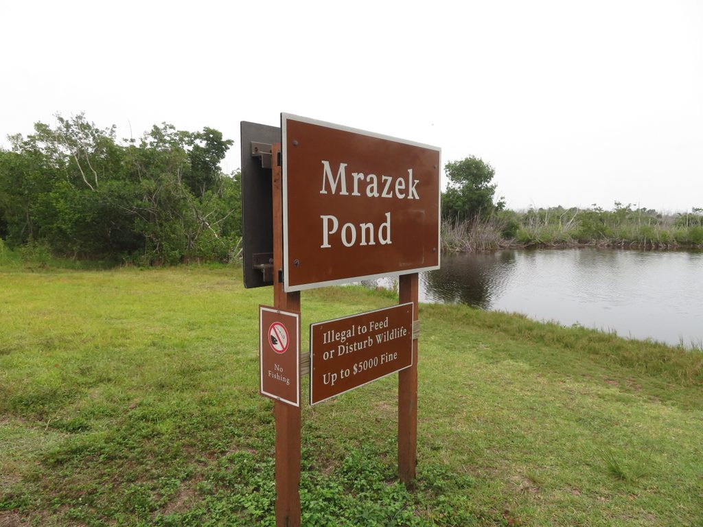 Mrazek Pond, Everglades National Park