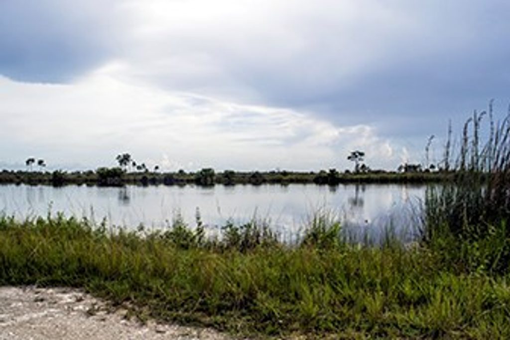 Sisal Pond, Everglades National Park