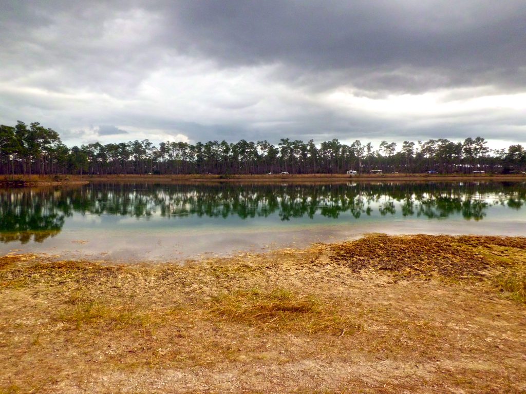 Long Pine Key Picnic Area, Everglades National Park