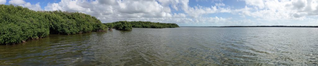 West Lake, Everglades National Park