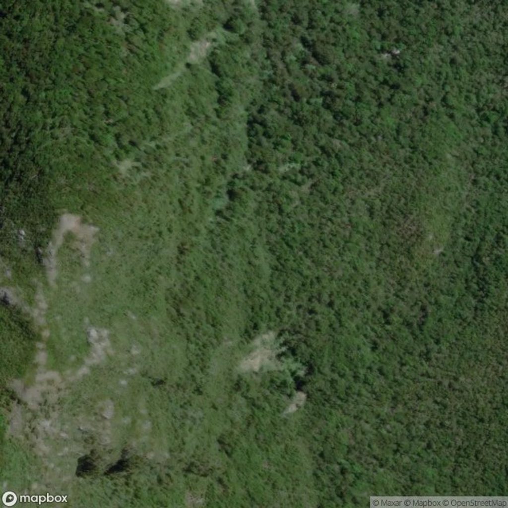 Secretary Island, Fiordland National Park