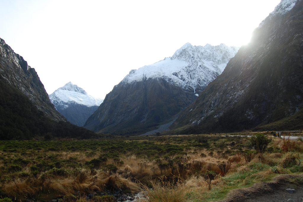 Monkey Creek, Fiordland National Park