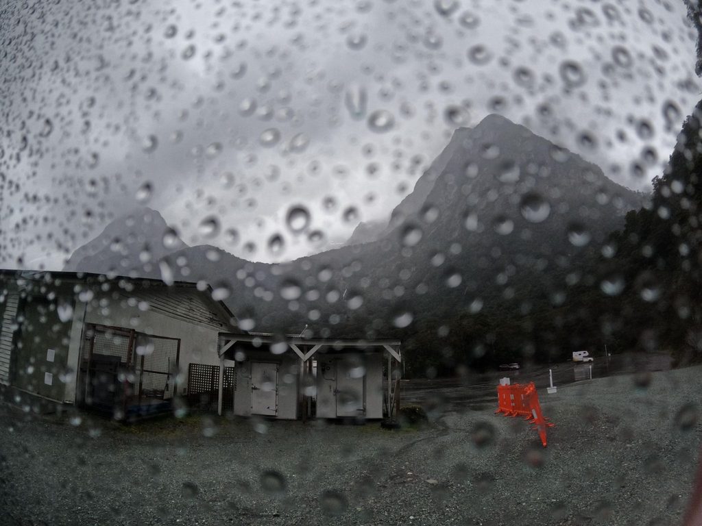 Allied, Fiordland National Park