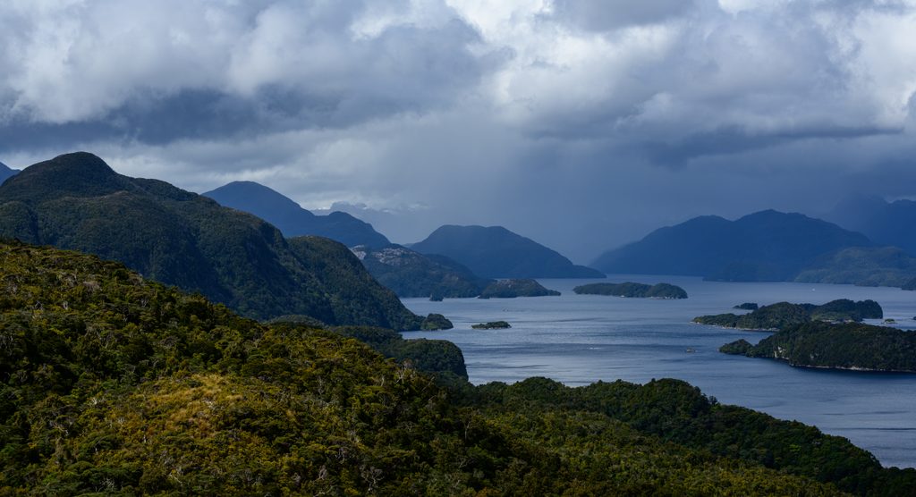 Tamatea / Dusky Sound, Fiordland National Park