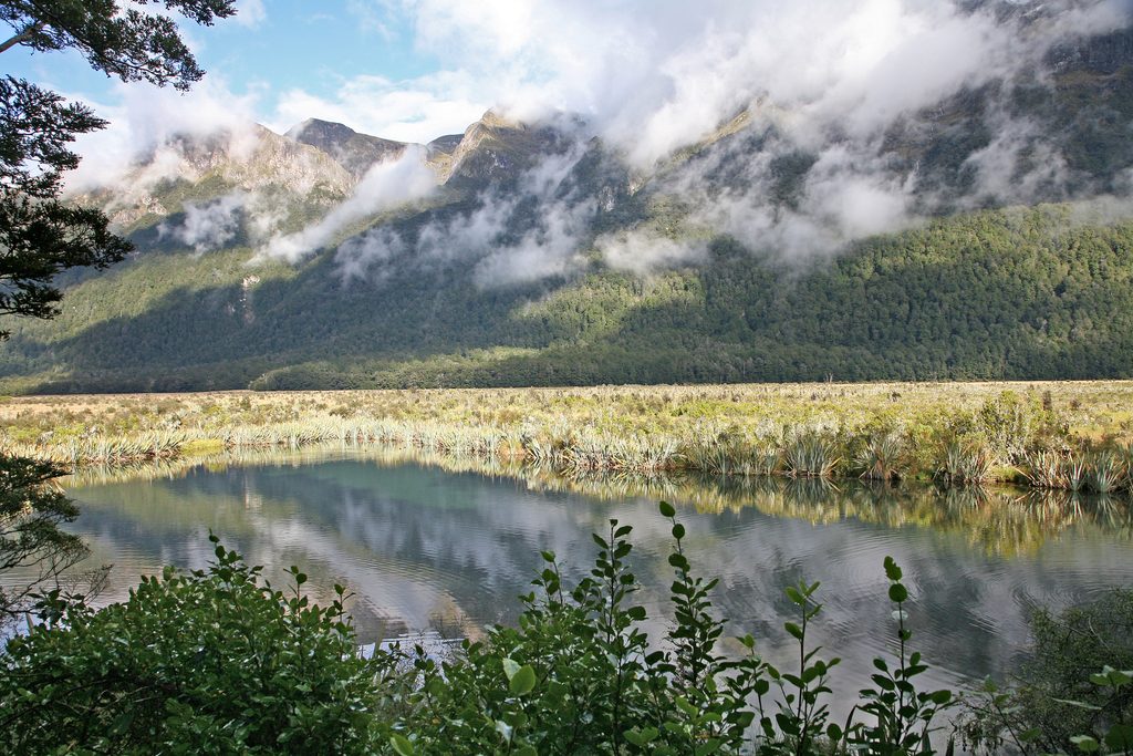 Ōtāpara / Lake Gunn, Fiordland National Park
