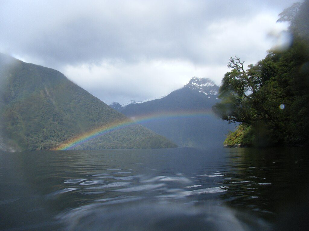 Bradshaw Sound / Kaikiekie, Fiordland National Park
