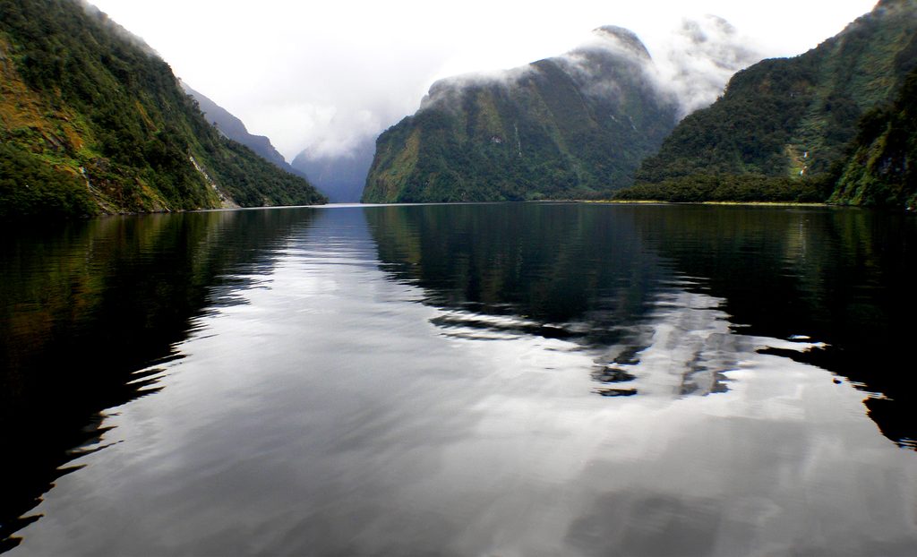 Doubtful Sound / Patea, Fiordland National Park