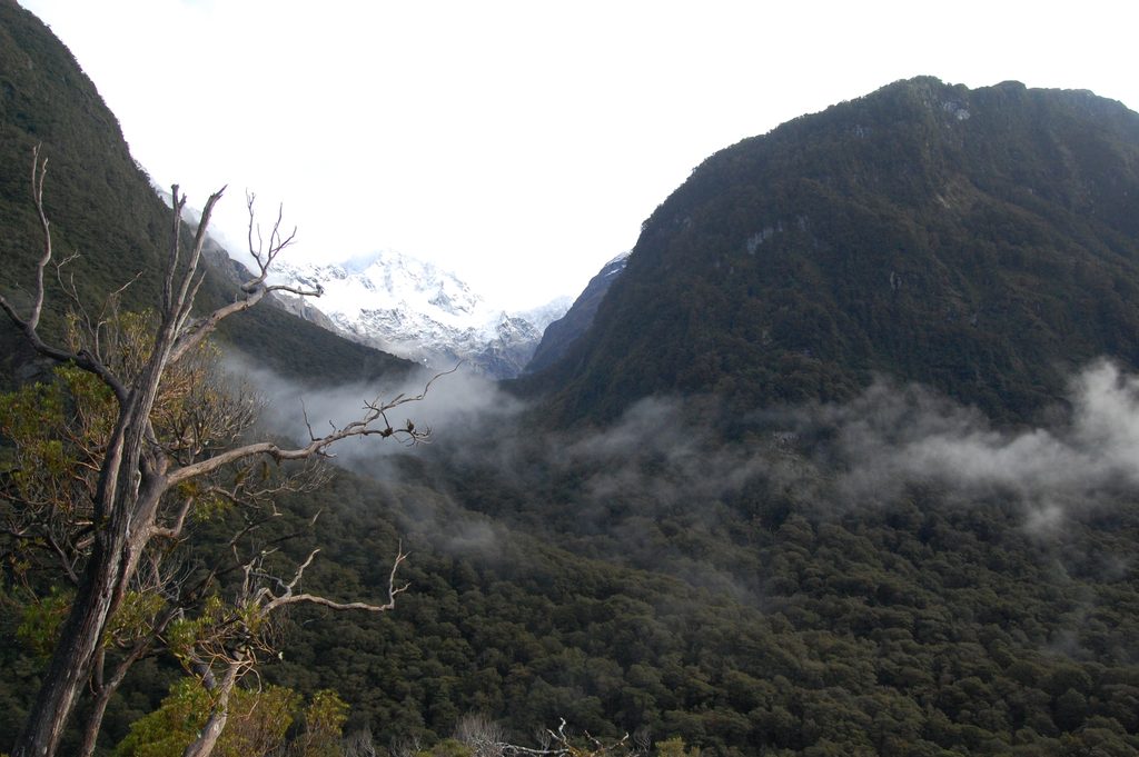 Pop's View Lookout, Fiordland National Park