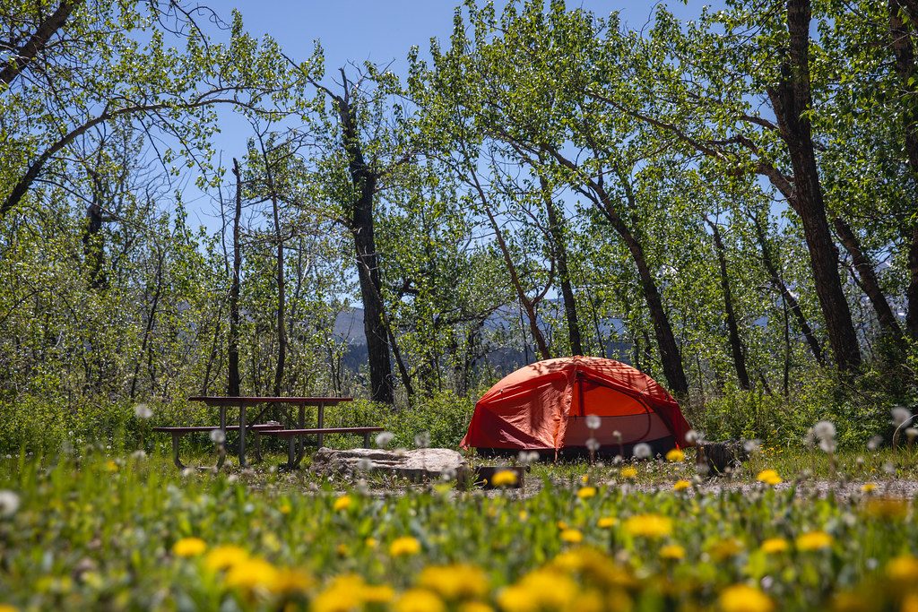 St. Mary Campground, Glacier National Park