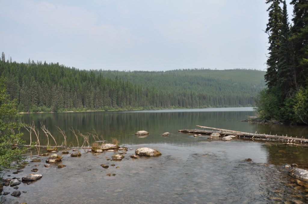 Lower Quartz Lake, Glacier National Park