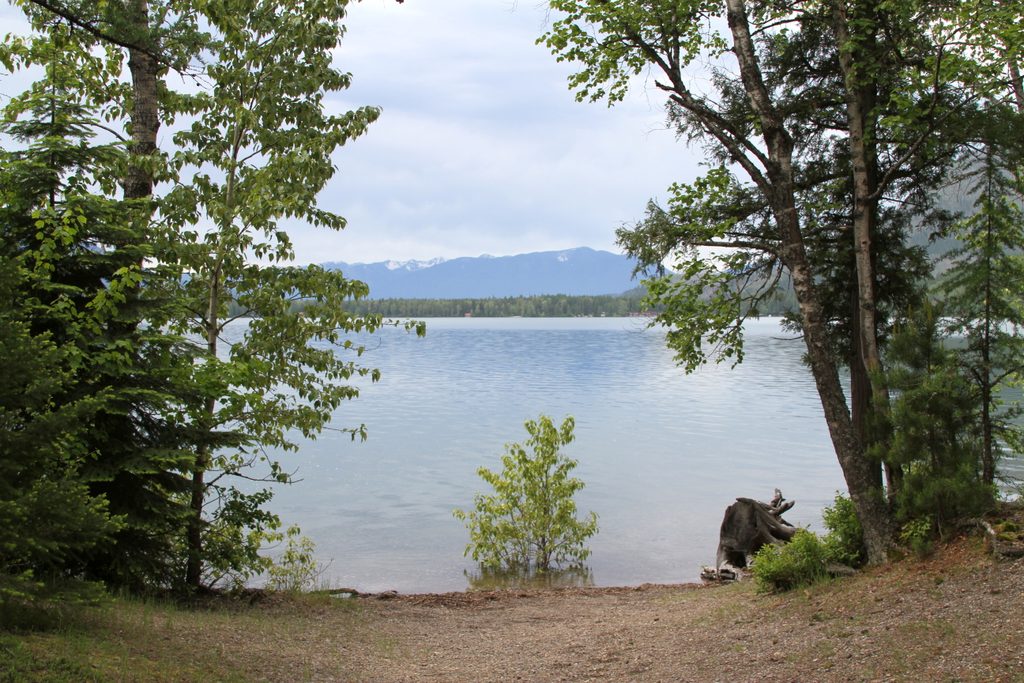 Fish Creek Picnic Area, Glacier National Park