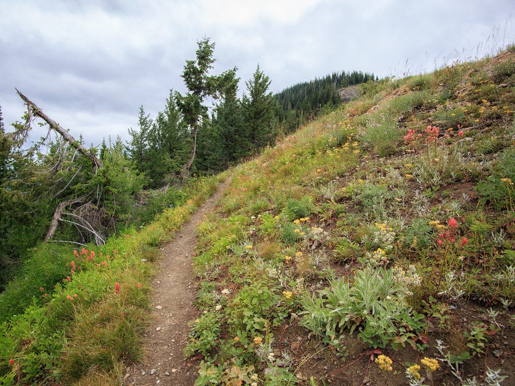 Scalplock Mountain, Glacier National Park