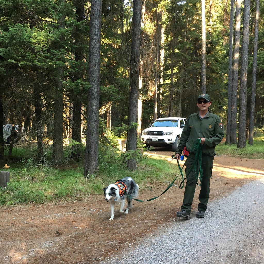 Bowman Lake Campground, Glacier National Park