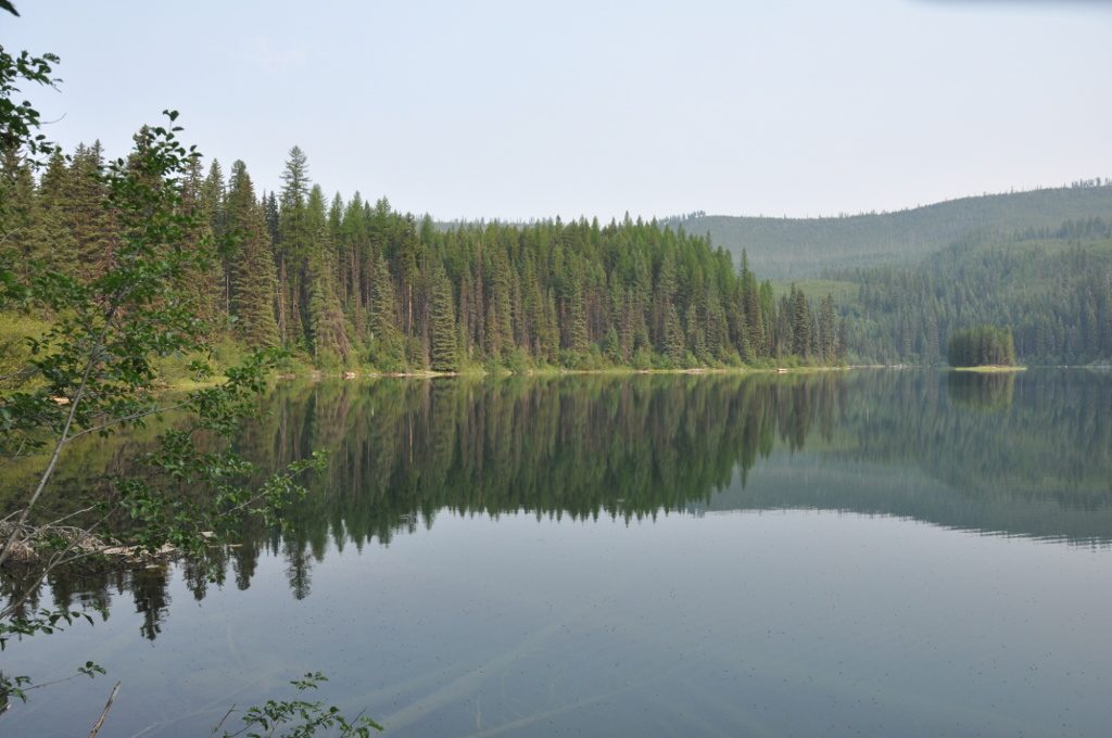 Middle Quartz Lake, Glacier National Park