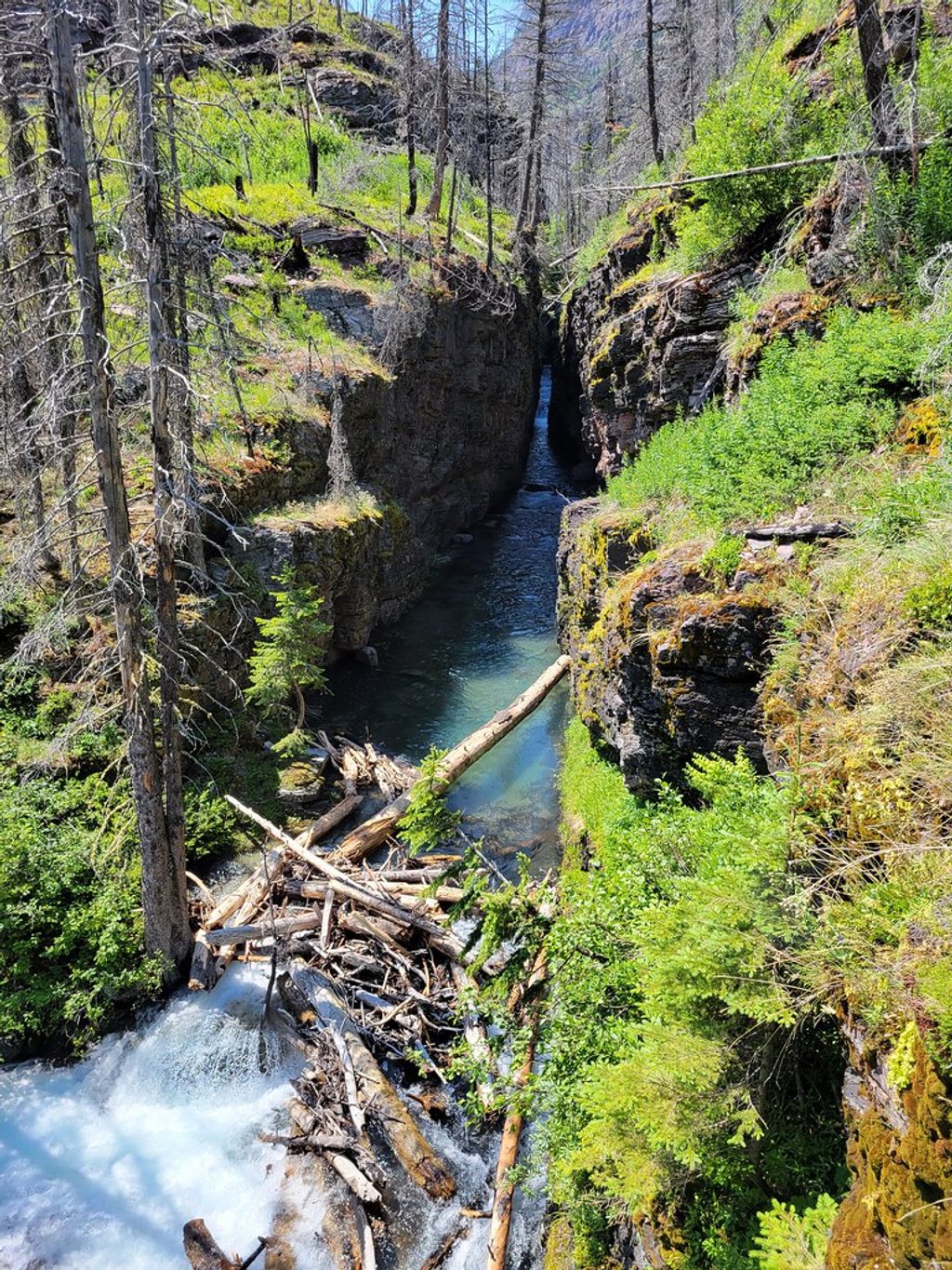 Sunrift Gorge, Glacier National Park