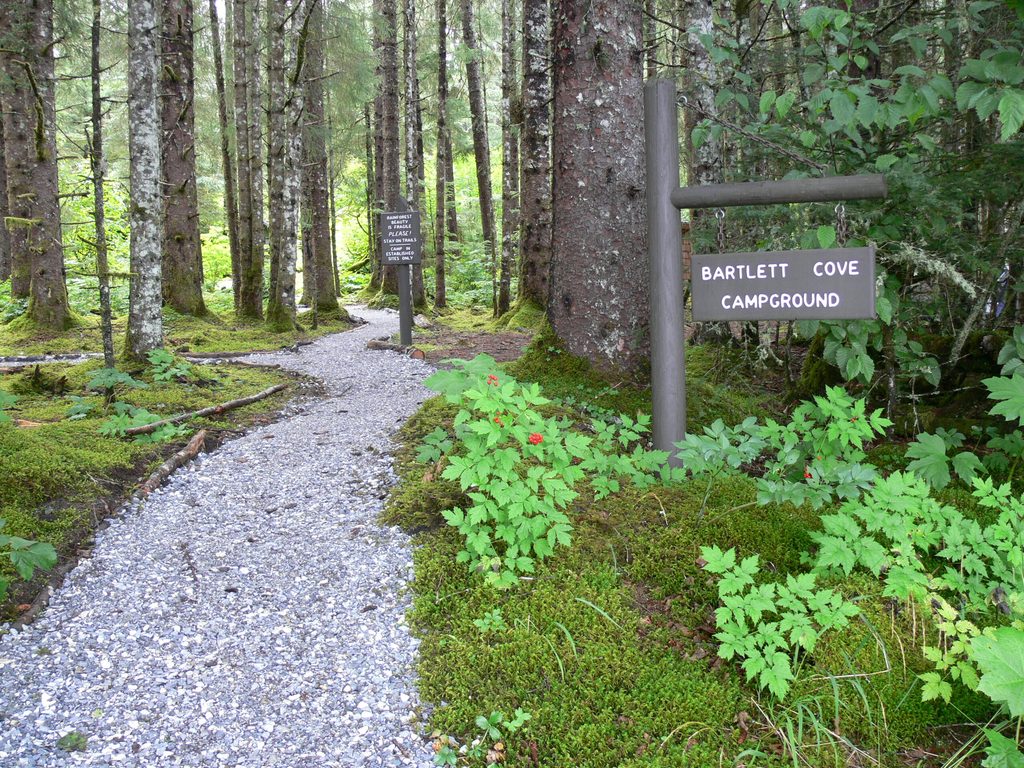 Bartlett Cove Campground, Glacier Bay National Park