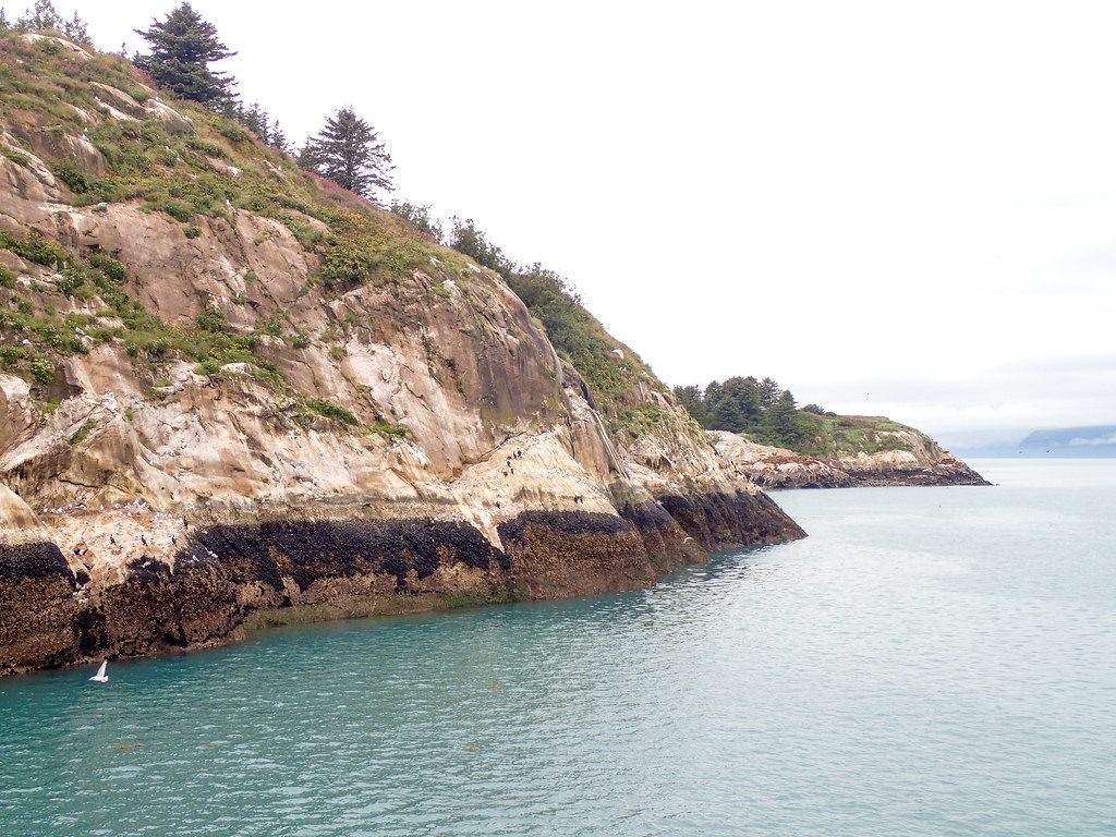 South Marble Island, Glacier Bay National Park