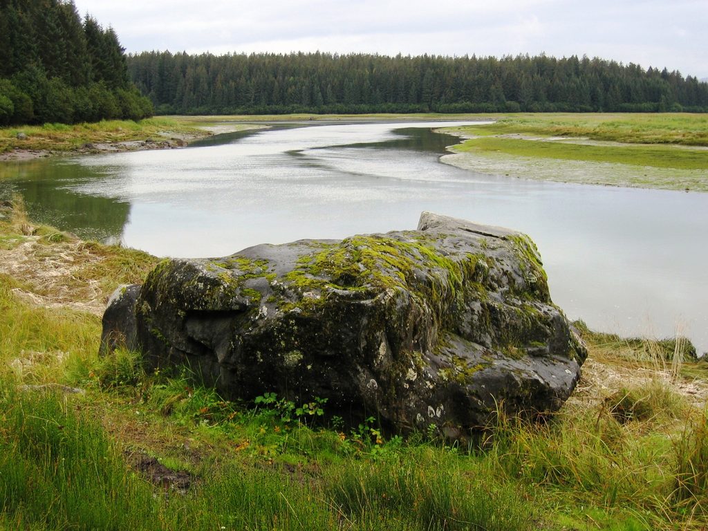 Bartlett River, Glacier Bay National Park