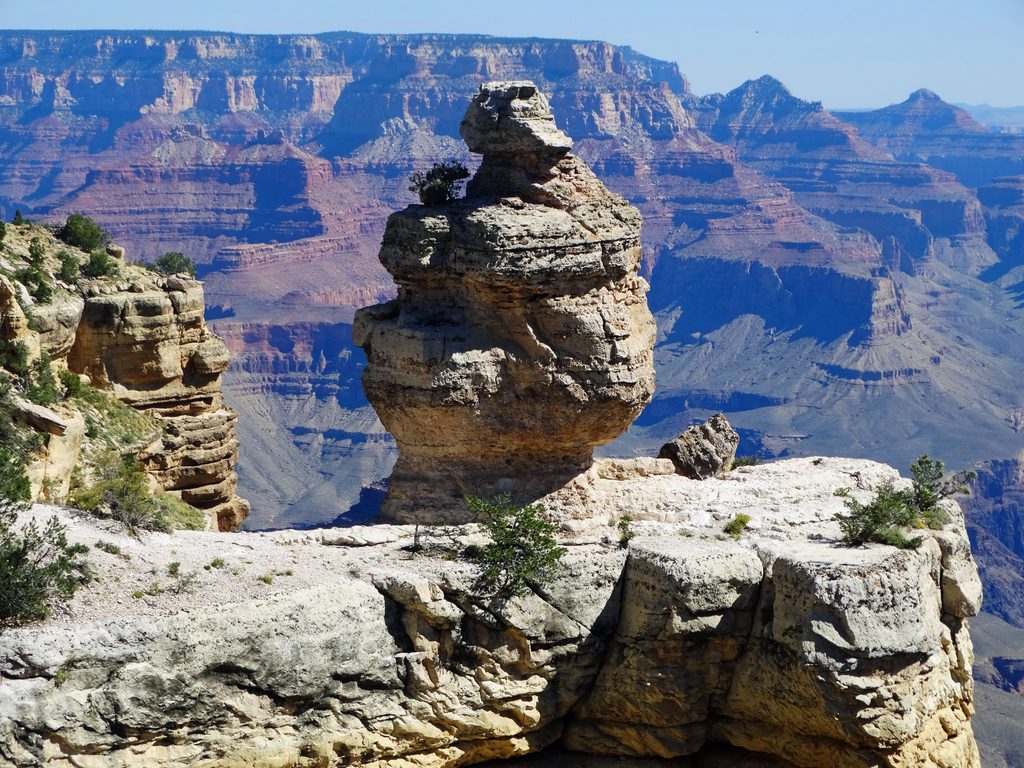 Duck on a Rock, Grand Canyon National Park