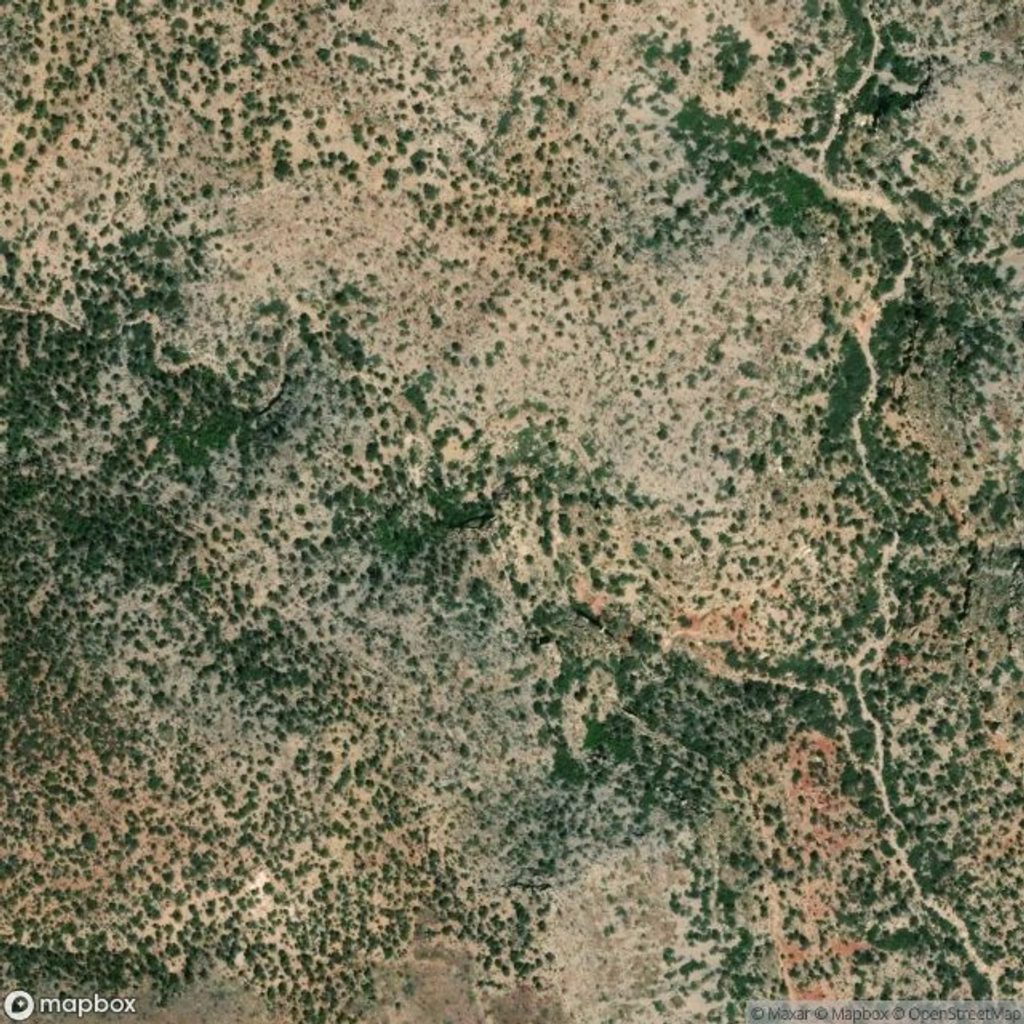 Tincanebitts Spring, Grand Canyon National Park