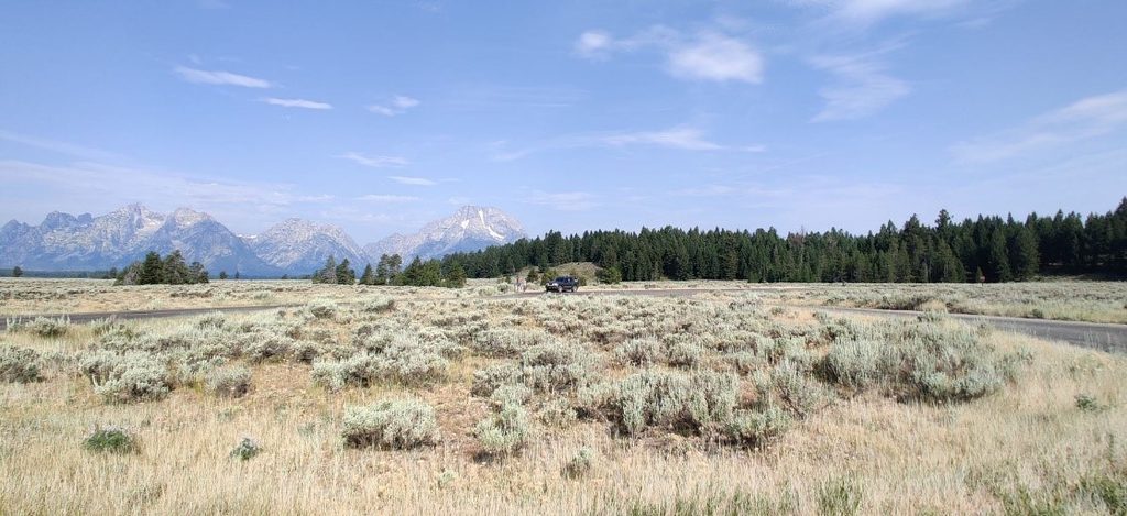 Mountain View Turnout, Grand Teton National Park