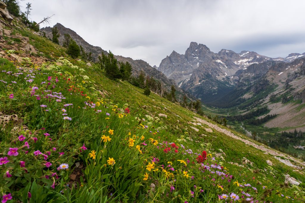 Paintbrush Divide, Grand Teton National Park