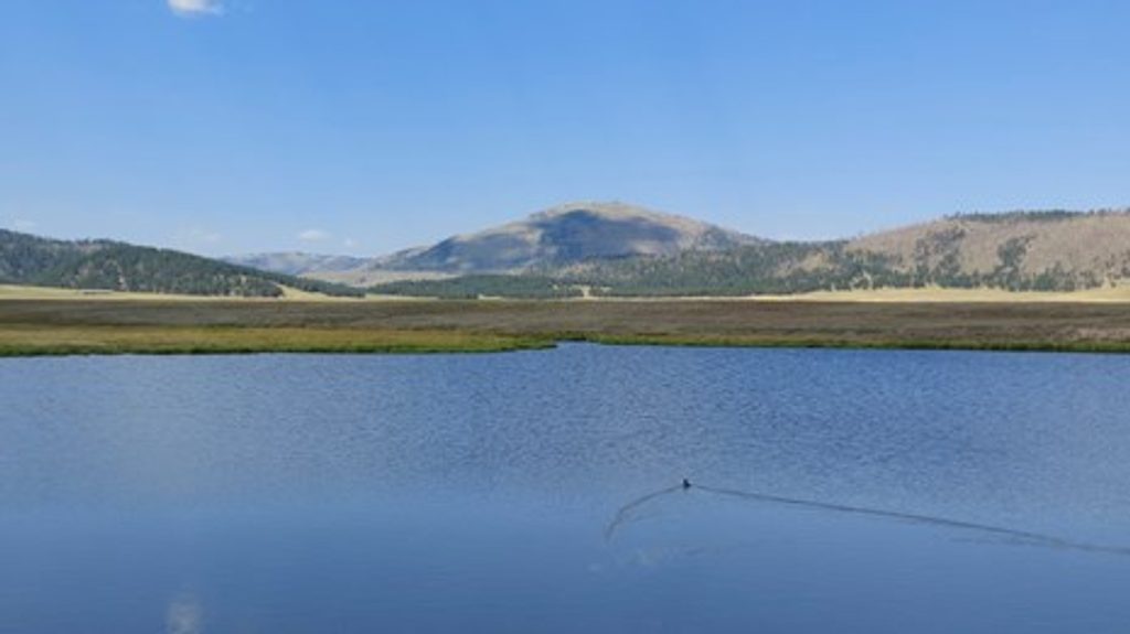Blacktail Ponds Overlook, Grand Teton National Park