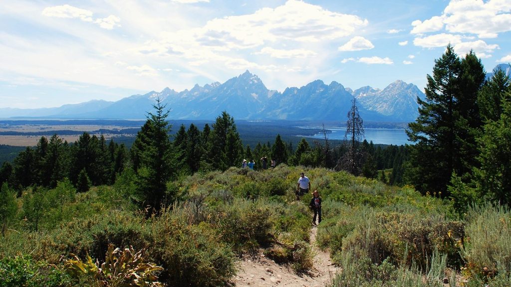 Jackson Point Overlook, Grand Teton National Park