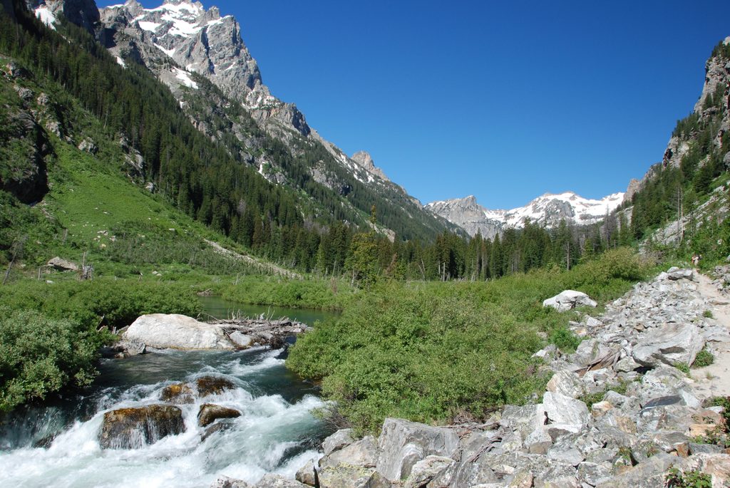 Cascade Canyon, Grand Teton National Park