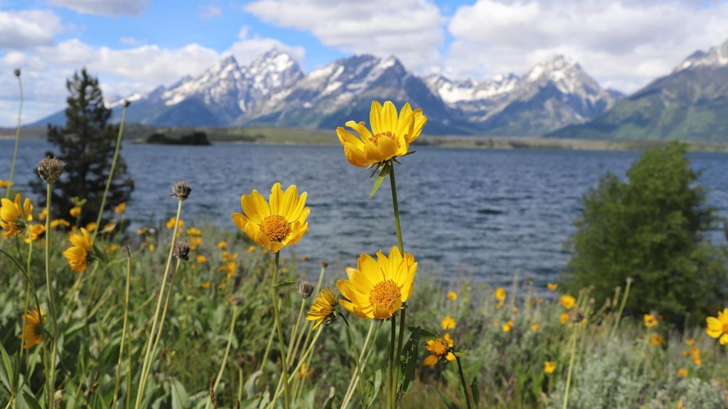 Hermitage Point, Grand Teton National Park