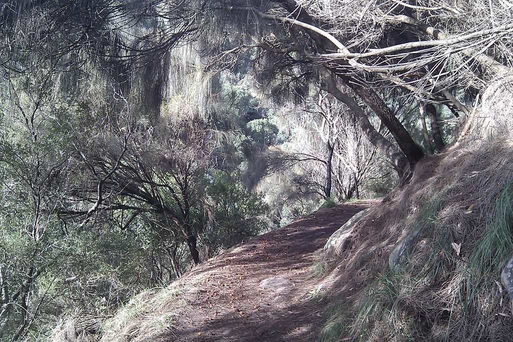 Sheoak Falls, Great Ocean Road