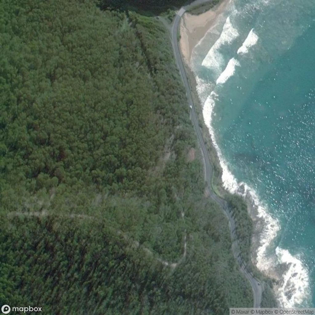 Jamieson Creek Campground, Great Ocean Road