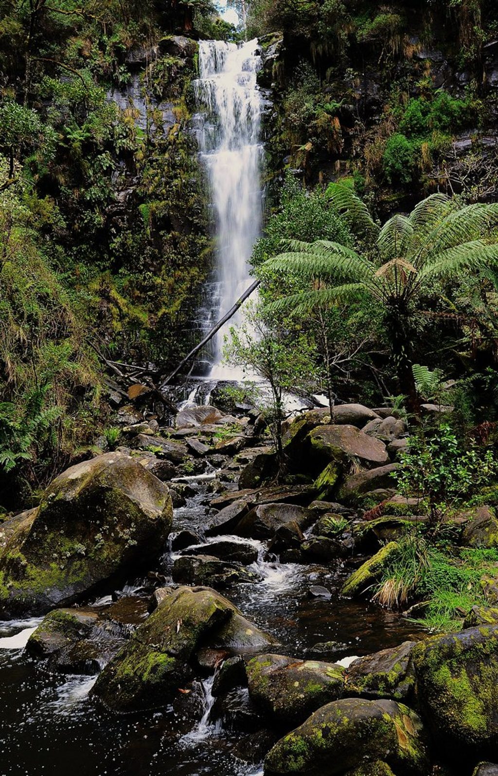 Erskine Falls, Great Otway National Park